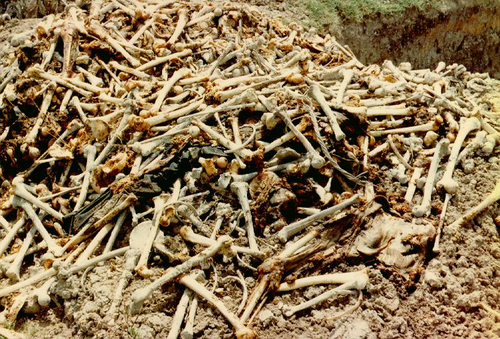 Pol_Pot_violence001.jpg